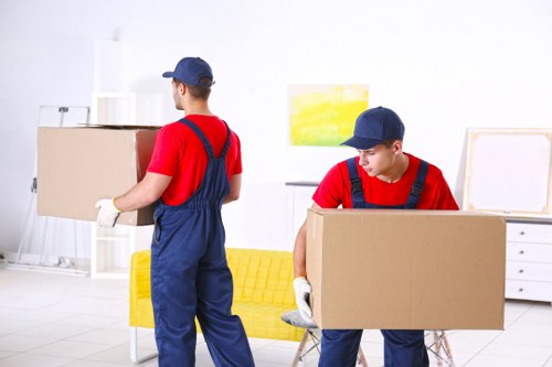 Man and van team preparing a safe move with boxes and loading equipment