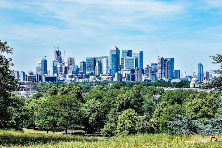 A wide view of a modern city skyline with numerous high-rise buildings made of glass and steel under a bright blue sky, seen from a park or green space with dense, leafy trees and grass in the foreground. The buildings include skyscrapers under construction, with cranes visible atop some of them, indicating ongoing development. The scene captures the contrast between the natural greenery in the foreground and the urban architecture in the background. This image reflects an urban environment and can relate to home relocation or furniture transport services provided by Greenwich Man and Van in the context of house removals or moving logistics in Greenwich.
